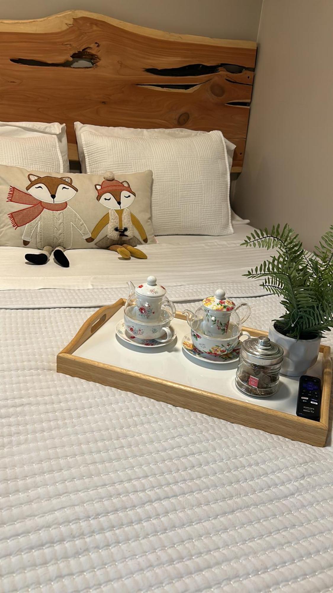 Sweet Tiny Cabin 탬파 외부 사진