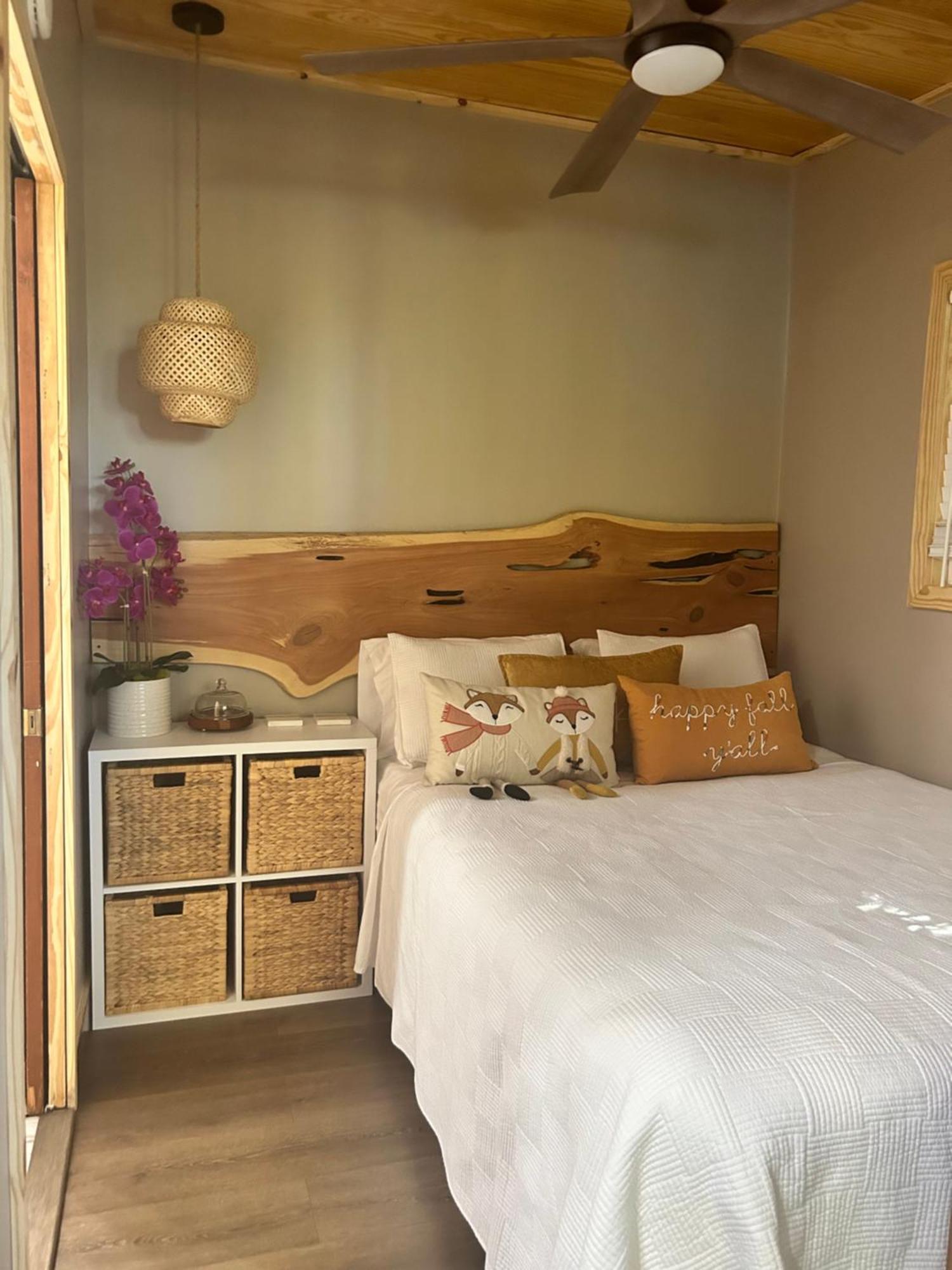 Sweet Tiny Cabin 탬파 외부 사진